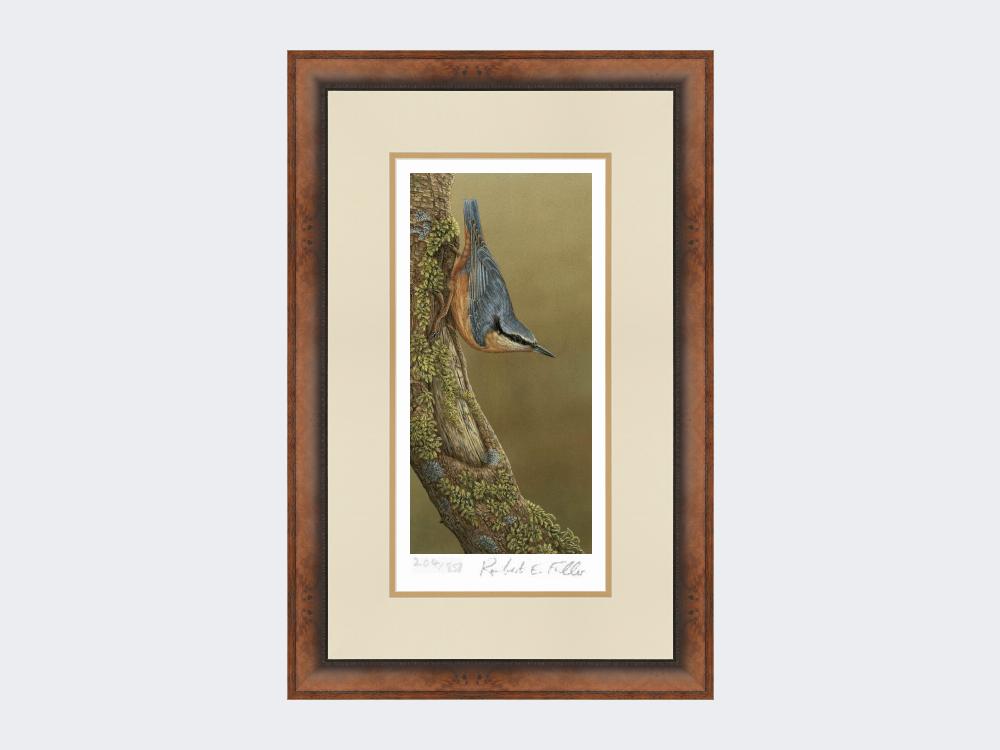 Nuthatch-Limited-Edition-Print-Small-Walnut-Burr