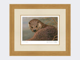 Otter-Print-Light-Oak