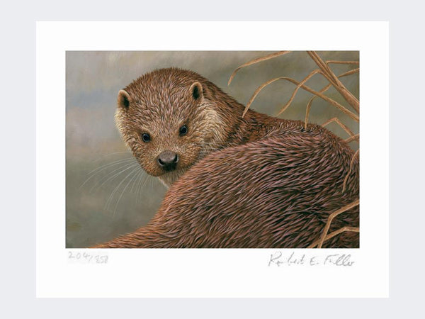 Otter | Limited Edition Art Print