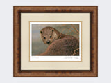 Otter-Print-Medium-Walnut-Burr