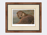 Otter-Print-Small-Walnut-Burr