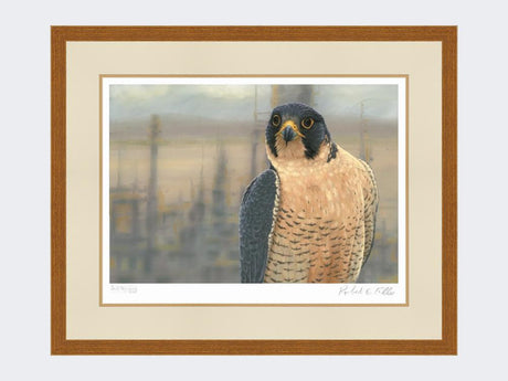 Peregrine-Salt-End-Print-Rustic-Country