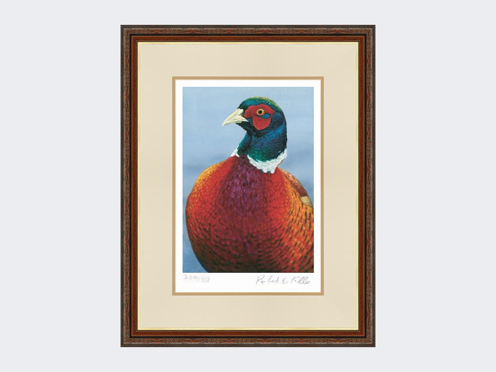 Pheasant-Portrait-Print-Harvest-Twist