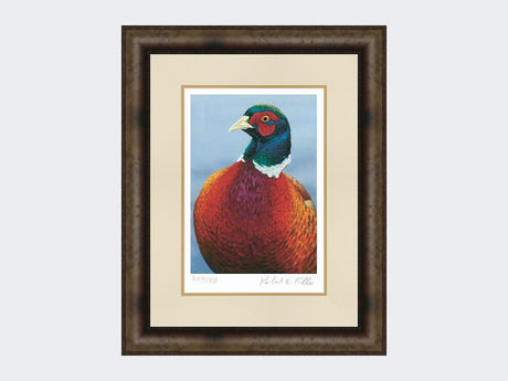 Pheasant-Portrait-Print-Medium-Dark-Grey-Burr