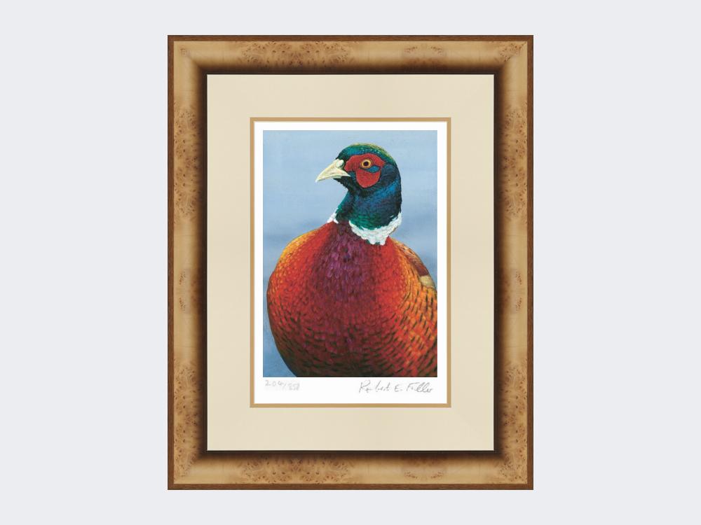 Pheasant-Portrait-Print-Medium-Light-Burr