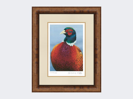 Pheasant-Portrait-Print-Medium-Walnut-Burr