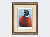 Pheasant-Portrait-Print-Small-Light-Burr