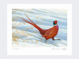 Pheasant-Snow-Patrol-Loose-Print-Only