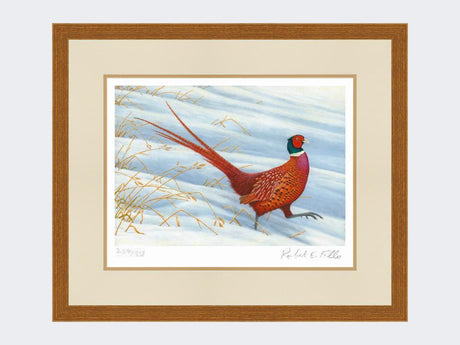 Pheasant-Snow-Patrol-Rustic-Country