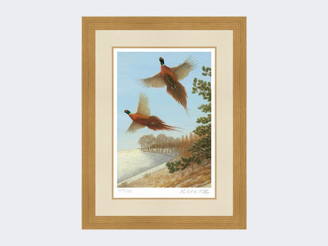 Pheasants-at-Deep-Dale-Light-Oak