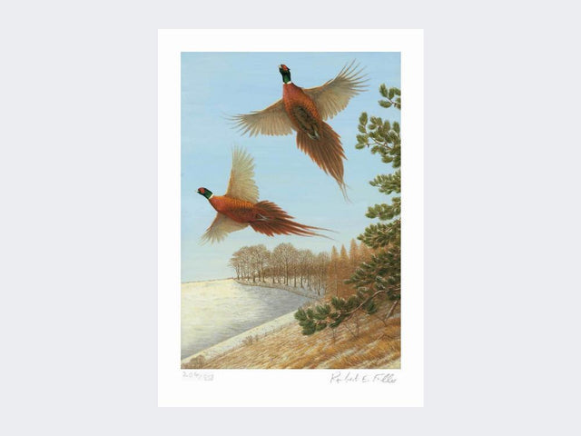 Pheasants-at-Deep-Dale-Loose-Print-Only