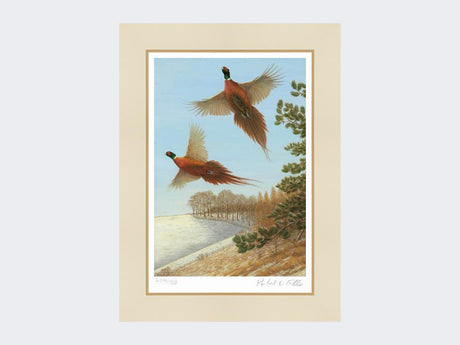 Pheasants-at-Deep-Dale-Mounted-Print-Only