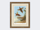 Pheasants-at-Deep-Dale-Small-Light-Burr