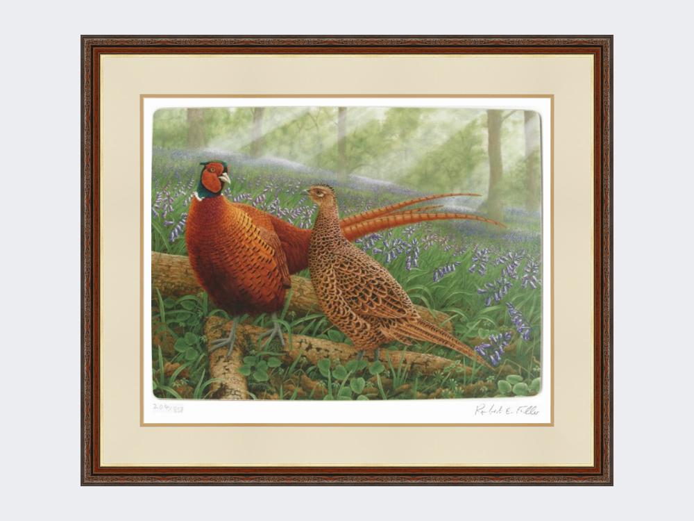 Pheasants-in-Bluebells-Harvest-Twist