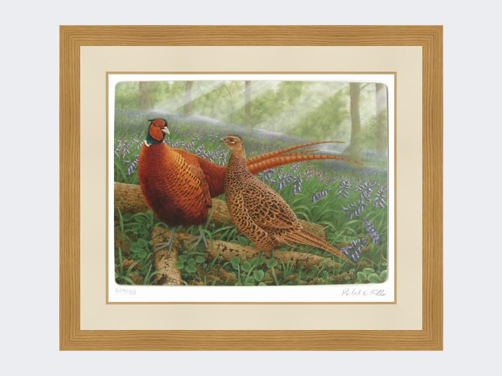 Pheasants-in-Bluebells-Light-Oak