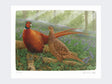 Pheasants-in-Bluebells-Loose-Print-Only