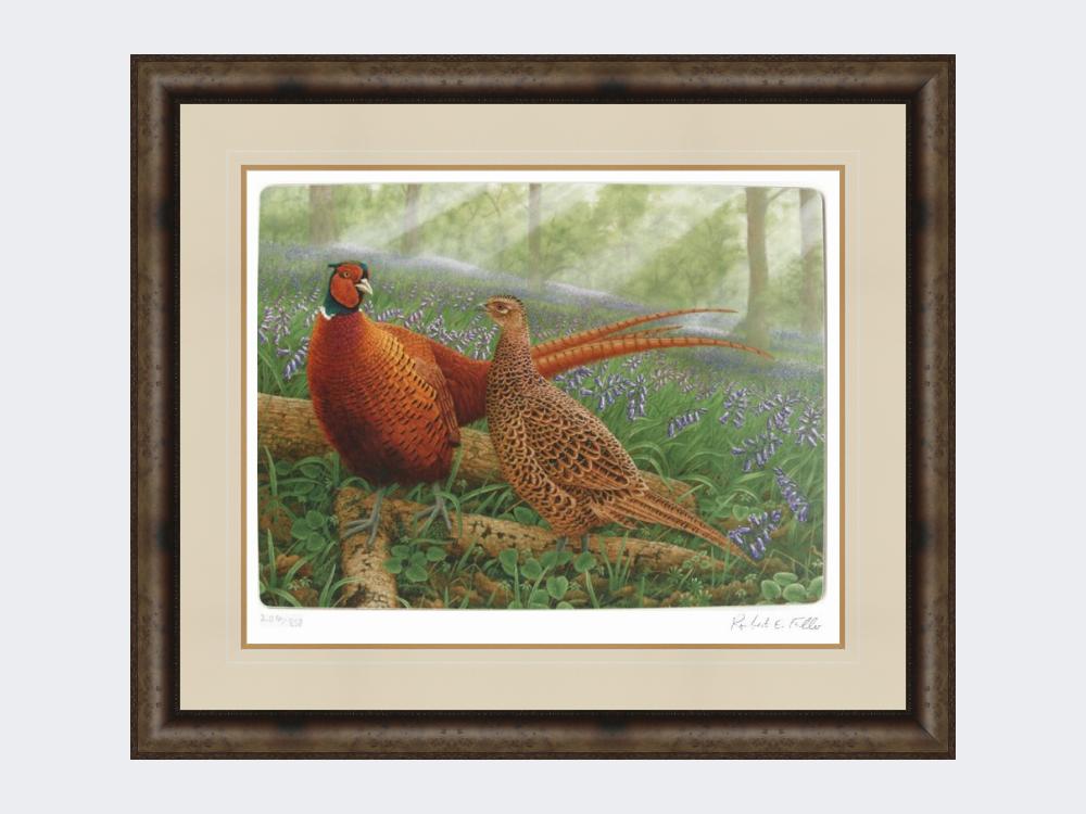 Pheasants-in-Bluebells-Medium-Dark-Grey-Burr