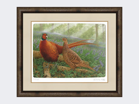 Pheasants-in-Bluebells-Medium-Dark-Grey-Burr