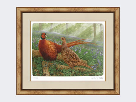 Pheasants-in-Bluebells-Medium-Light-Burr