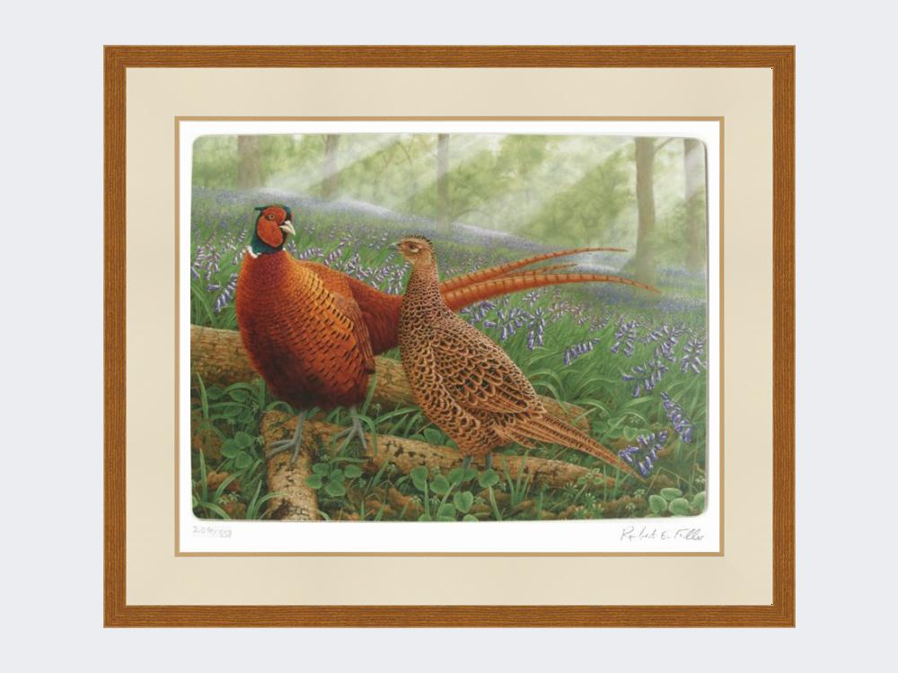 Pheasants-in-Bluebells-Rustic-Country