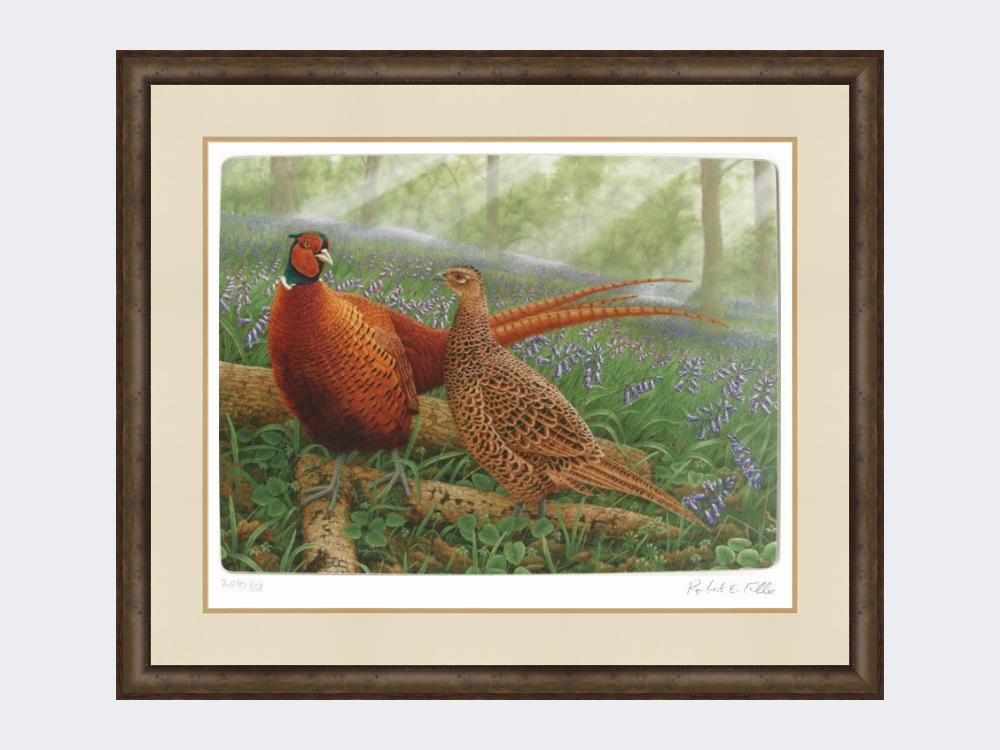 Pheasants-in-Bluebells-Small-Dark-Grey-Burr