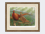 Pheasants-in-Bluebells-Small-Light-Burr