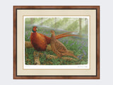 Pheasants-in-Bluebells-Small-Walnut-Burr