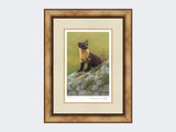 Pine-Marten-of-Ardnamurchan-Print-Medium-Light-Burr