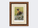 Pine-Marten-of-Ardnamurchan-Print-Medium-Walnut-Burr