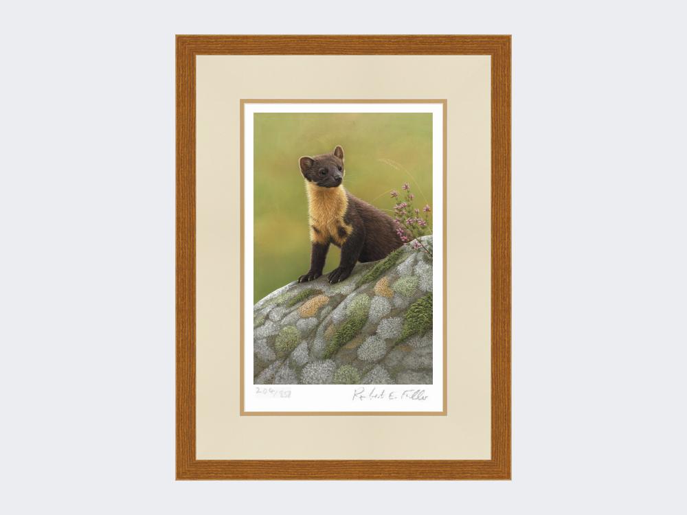 Pine-Marten-of-Ardnamurchan-Print-Rustic-Country