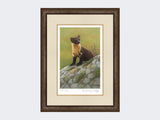 Pine-Marten-of-Ardnamurchan-Print-Small-Dark-Grey-Burr