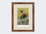 Pine-Marten-of-Ardnamurchan-Print-Small-Walnut-Burr