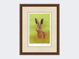 Portrait-of-a-Leveret-Print-Harvest-Twist