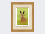 Portrait-of-a-Leveret-Print-Light-Oak