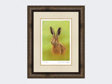 Portrait-of-a-Leveret-Print-Medium-Dark-Grey-Burr