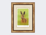 Portrait-of-a-Leveret-Print-Medium-Light-Burr