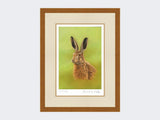 Portrait-of-a-Leveret-Print-Rustic-Country