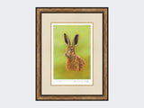 Portrait-of-a-Leveret-Print-Small-Light-Burr