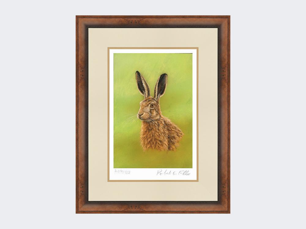 Portrait-of-a-Leveret-Print-Small-Walnut-Burr