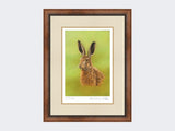 Portrait-of-a-Leveret-Print-Small-Walnut-Burr