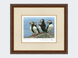 Puffins-on-the-Lookout-Print-Harvest-Twist