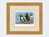 Puffins-on-the-Lookout-Print-Light-Oak