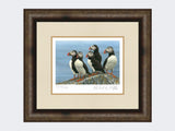 Puffins-on-the-Lookout-Print-Medium-Dark-Grey-Burr