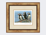 Puffins-on-the-Lookout-Print-Medium-Light-Burr