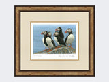 Puffins-on-the-Lookout-Print-Small-Light-Burr