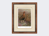 Red-Grouse-in-Heather-Print-Small-Walnut-Burr