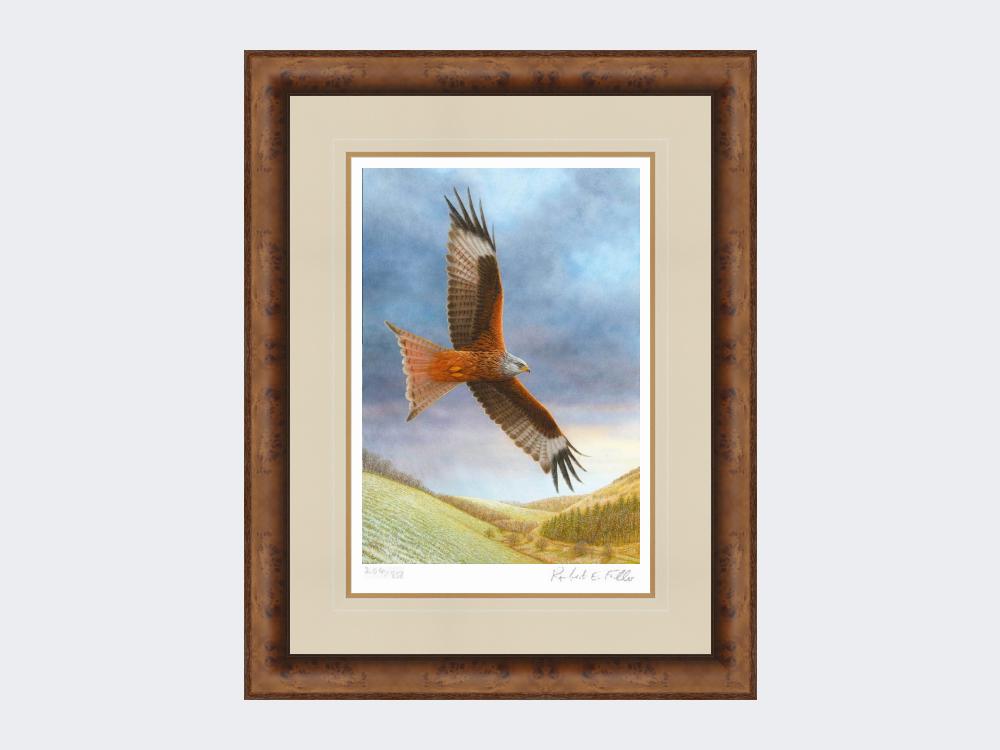 Red-Kite-at-Deep-Dale-Medium-Walnut-Burr