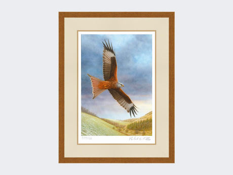 Red-Kite-at-Deep-Dale-Rustic-Country