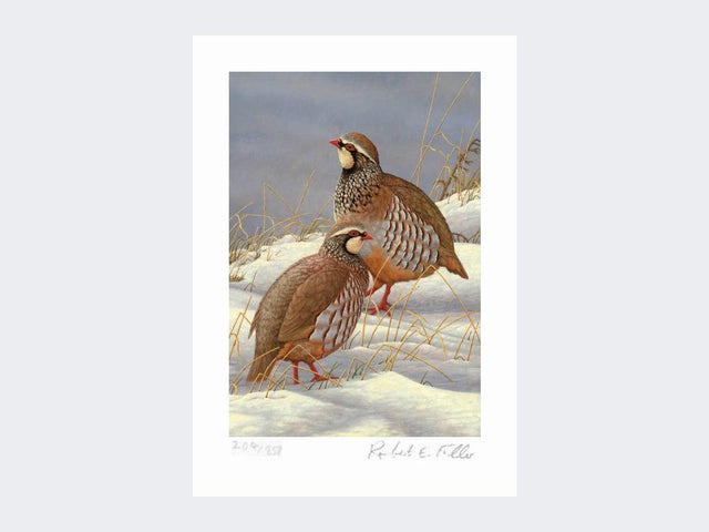 Red-Legged-Partridges-in-Snow-Print-Loose-Print-Only