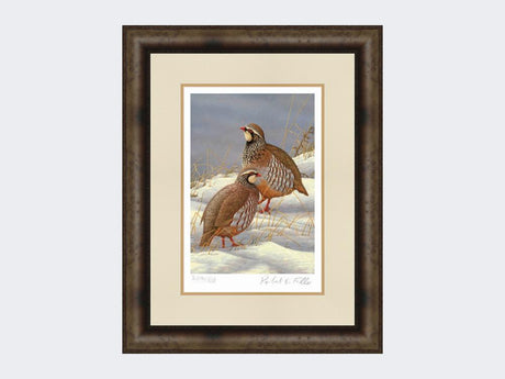 Red-Legged-Partridges-in-Snow-Print-Medium-Dark-Grey-Burr